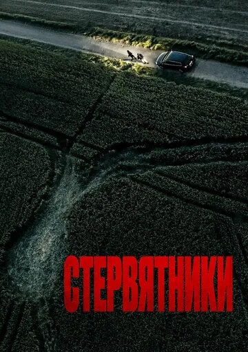 Стервятники (2025) Стервятники (2025)